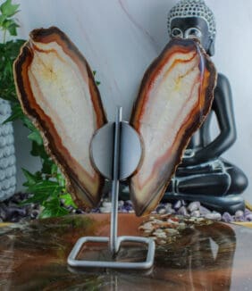 Agaat vlinder op standaard nr. 1