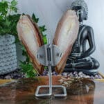 Agaat vlinder op standaard nr. 1-4