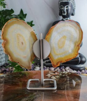 Agaat vlinder op standaard nr. 2