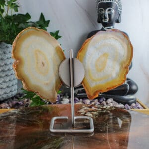 Agaat vlinder op standaard nr. 2