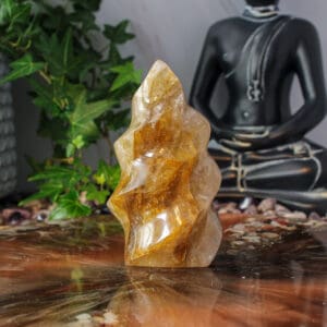 Golden healer vlam nr. 1