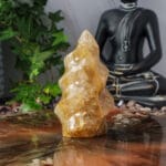 Golden healer vlam nr. 1-4