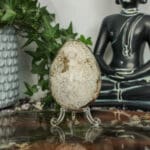 Oceaan jaspis ei nr. 3-3