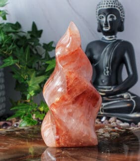 Red healer vlam nr. 1